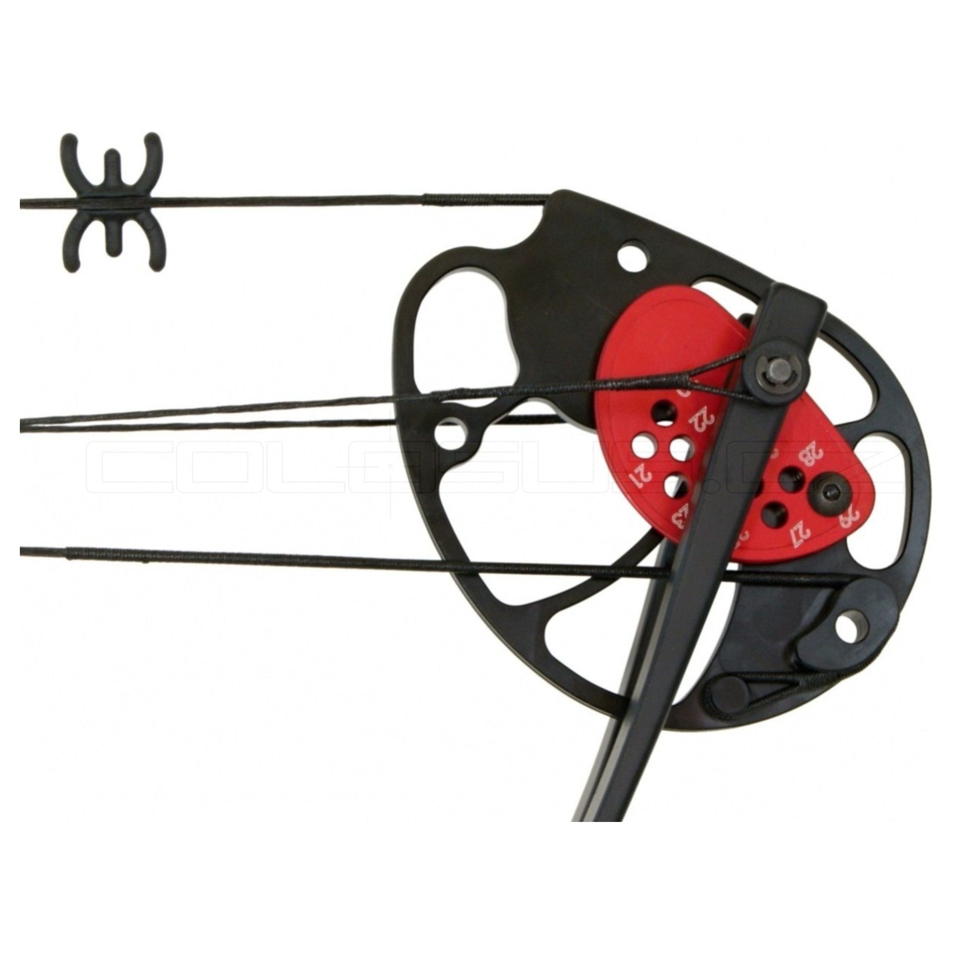 ARCO COMPOUND BEAST HUNTER REX 15-55 NERO lbs COD. BH029B