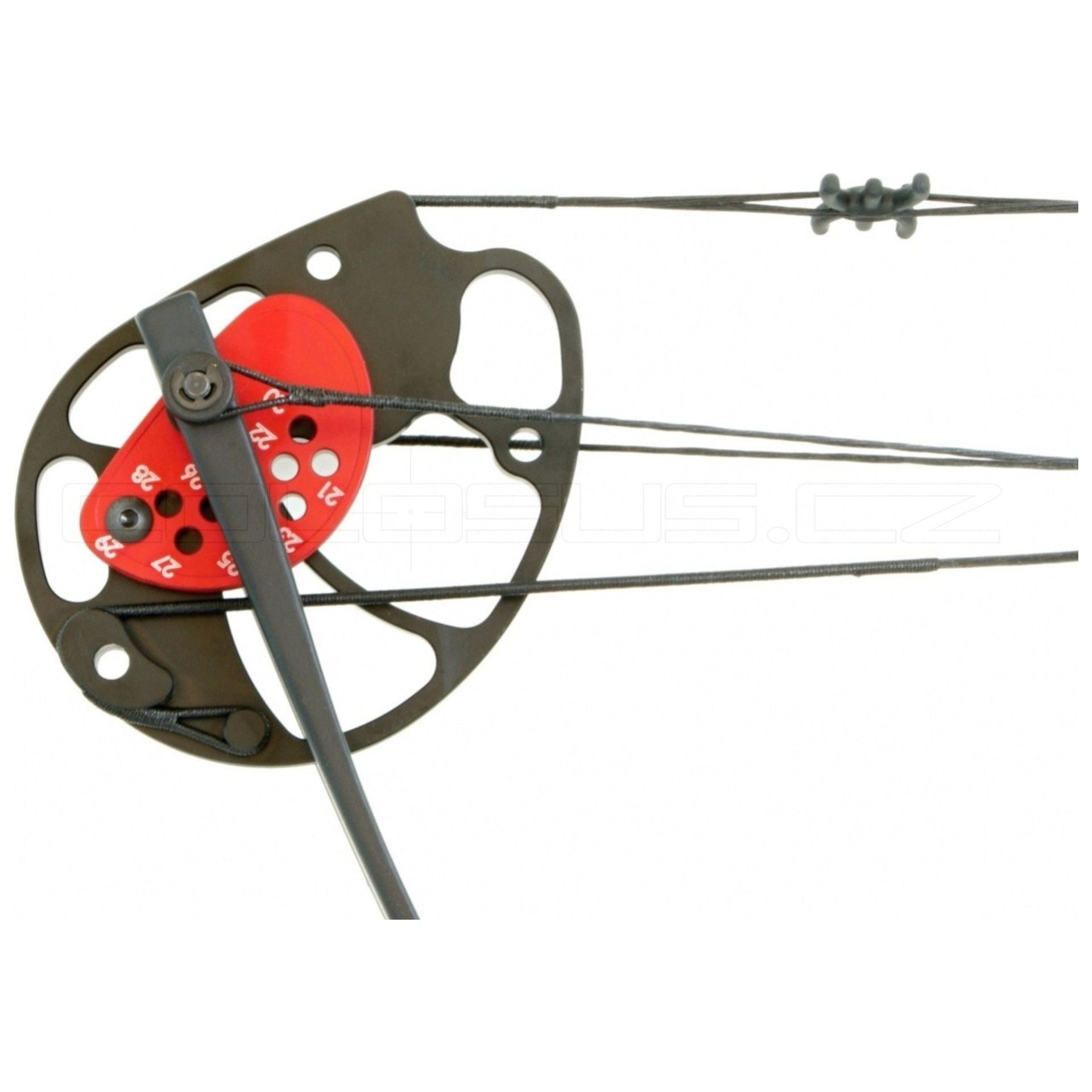 ARCO COMPOUND BEAST HUNTER REX 15-55 NERO lbs COD. BH029B