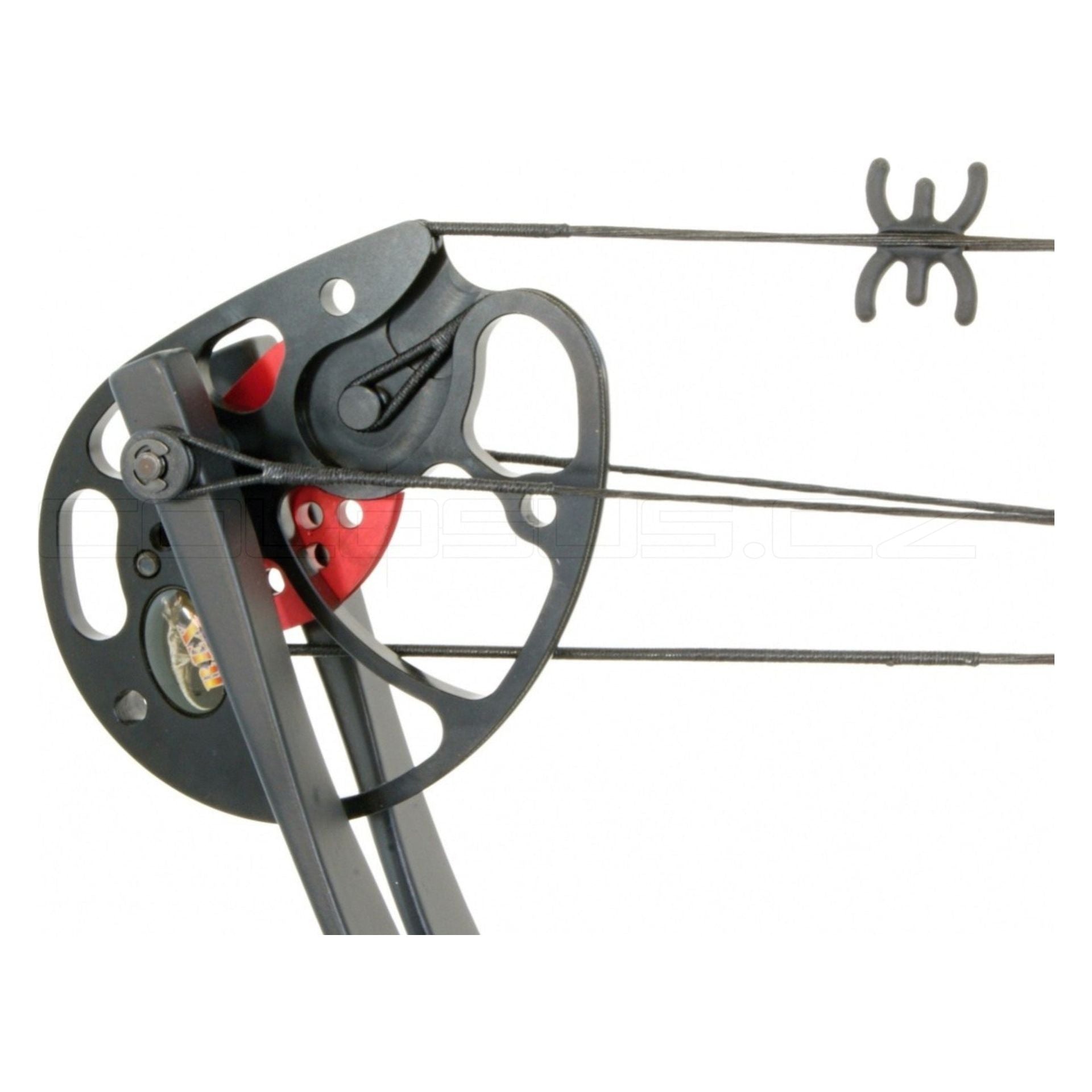 ARCO COMPOUND BEAST HUNTER REX 15-55 NERO lbs COD. BH029B