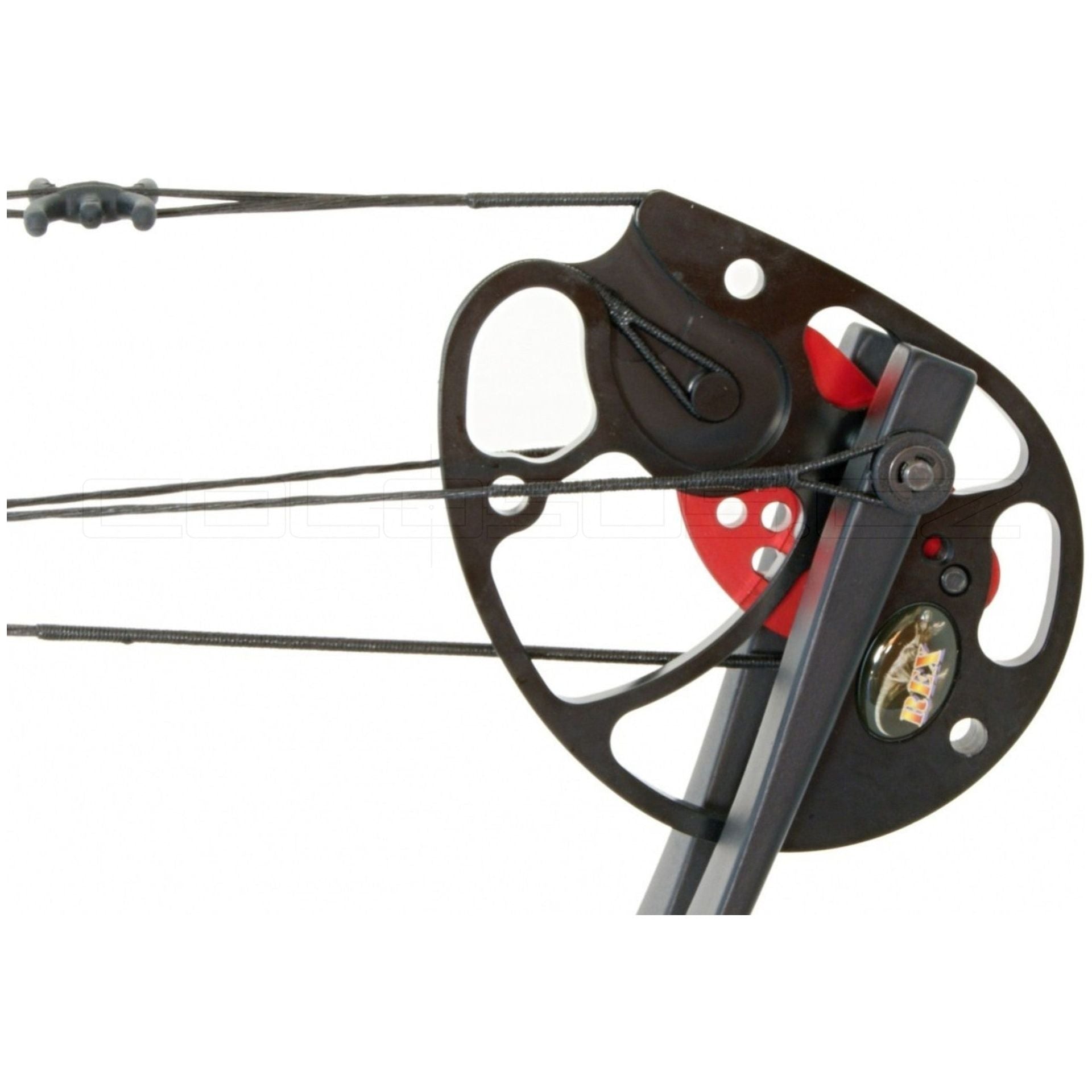 ARCO COMPOUND BEAST HUNTER REX 15-55 NERO lbs COD. BH029B