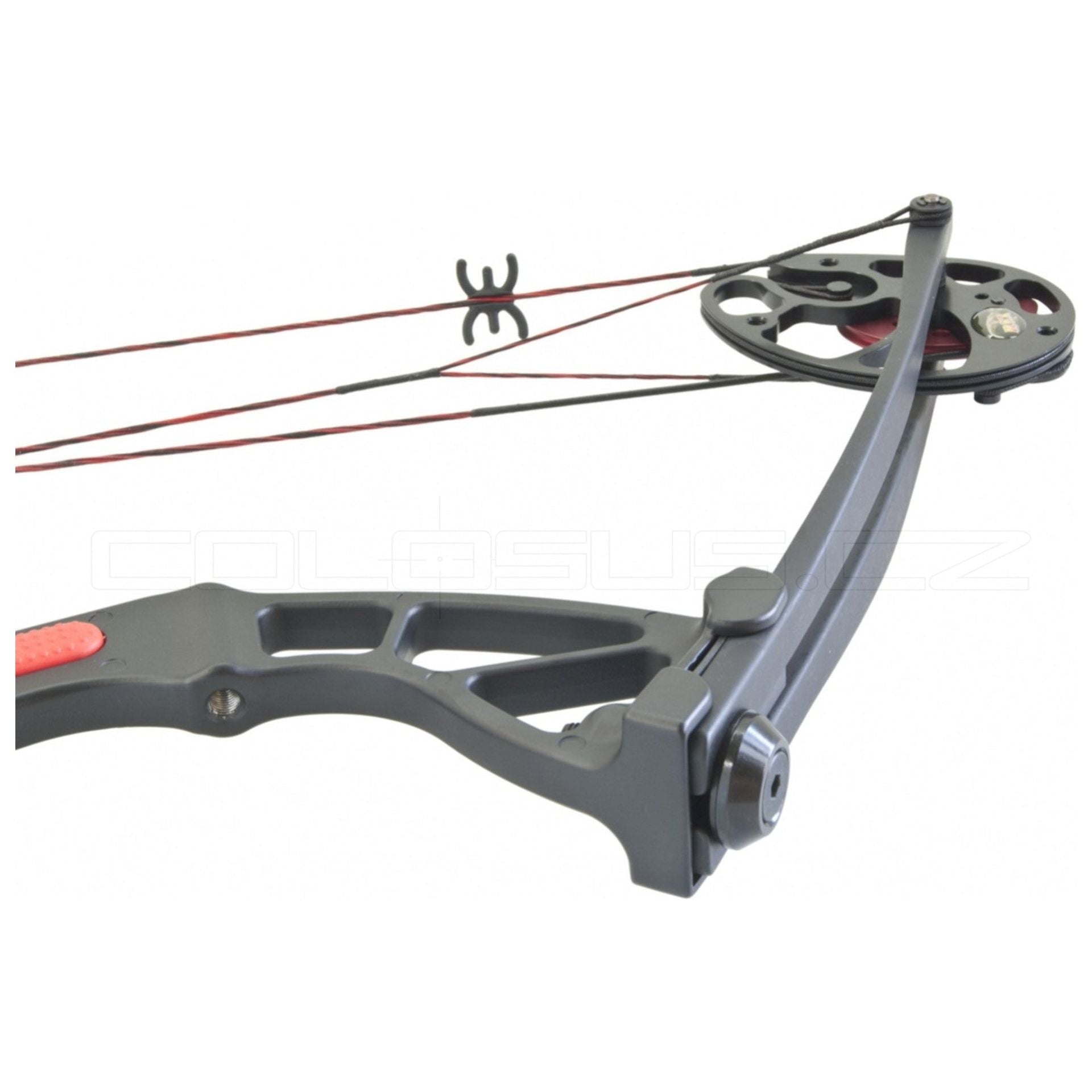 ARCO COMPOUND BEAST HUNTER REX 15-55 NERO lbs COD. BH029B