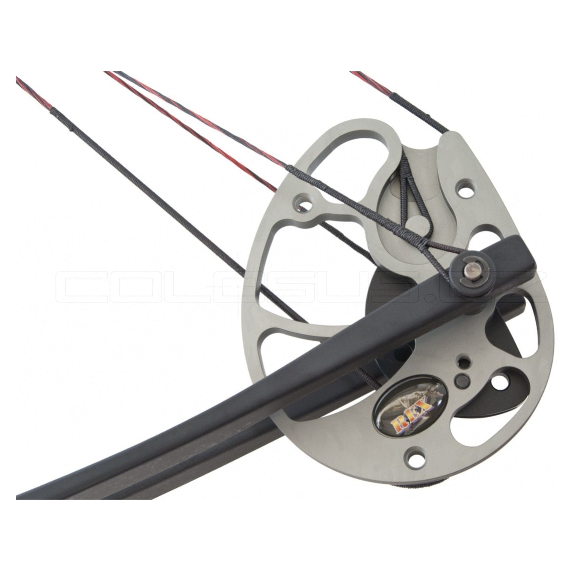 ARCO COMPOUND BEAST HUNTER REX SHADOW SKULL 15-55 lbs COD. BH029M