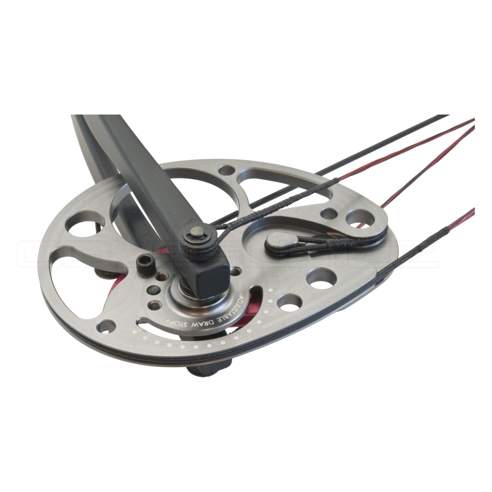 ARCO COMPOUND LUK BEAST HUNTER EXTERMINATOR 15-70 lbs NERO COD. BH035B