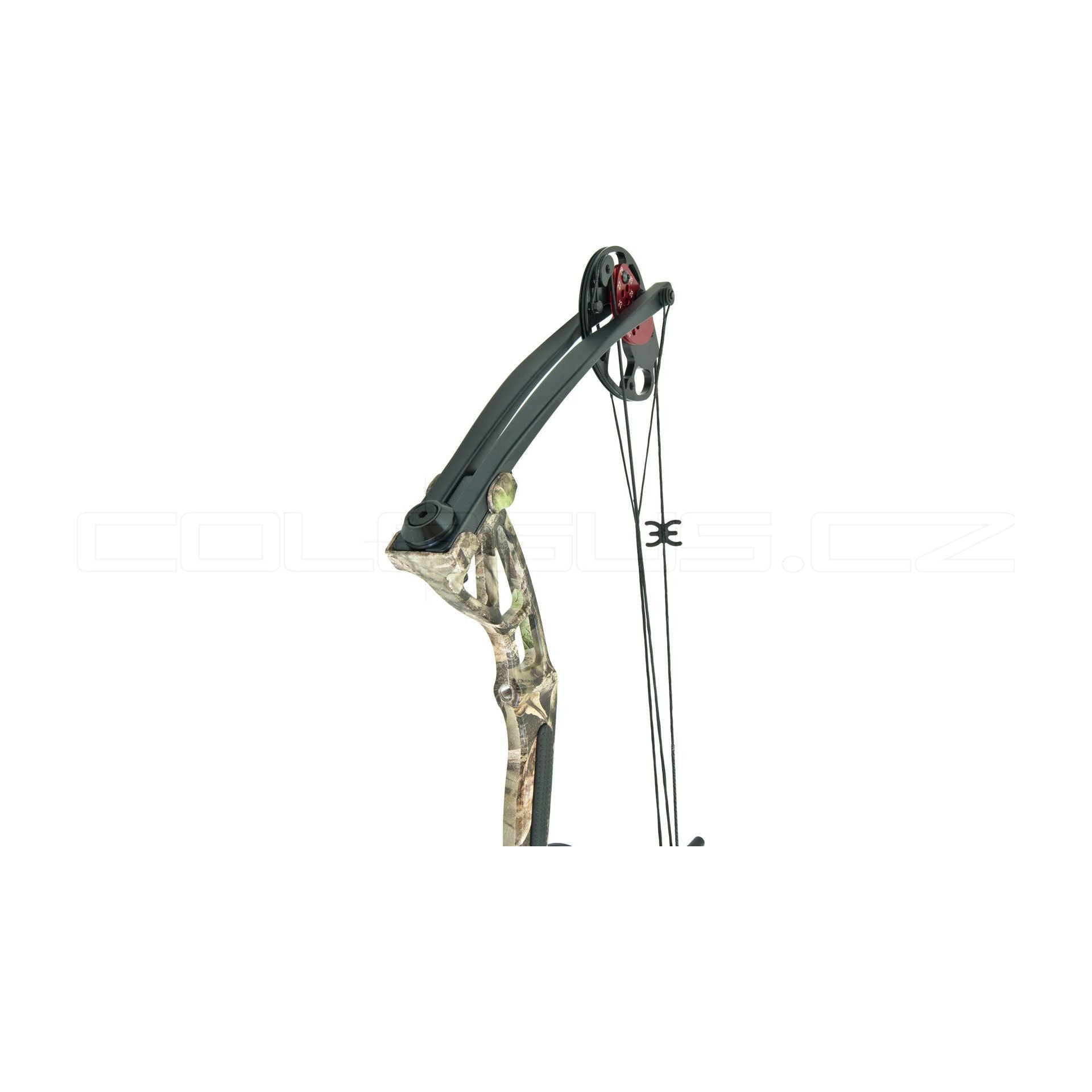 ARCO COMPOUND LUK BEAST HUNTER LUK REX 20-65 lbs MIMETICO COD. BH029F