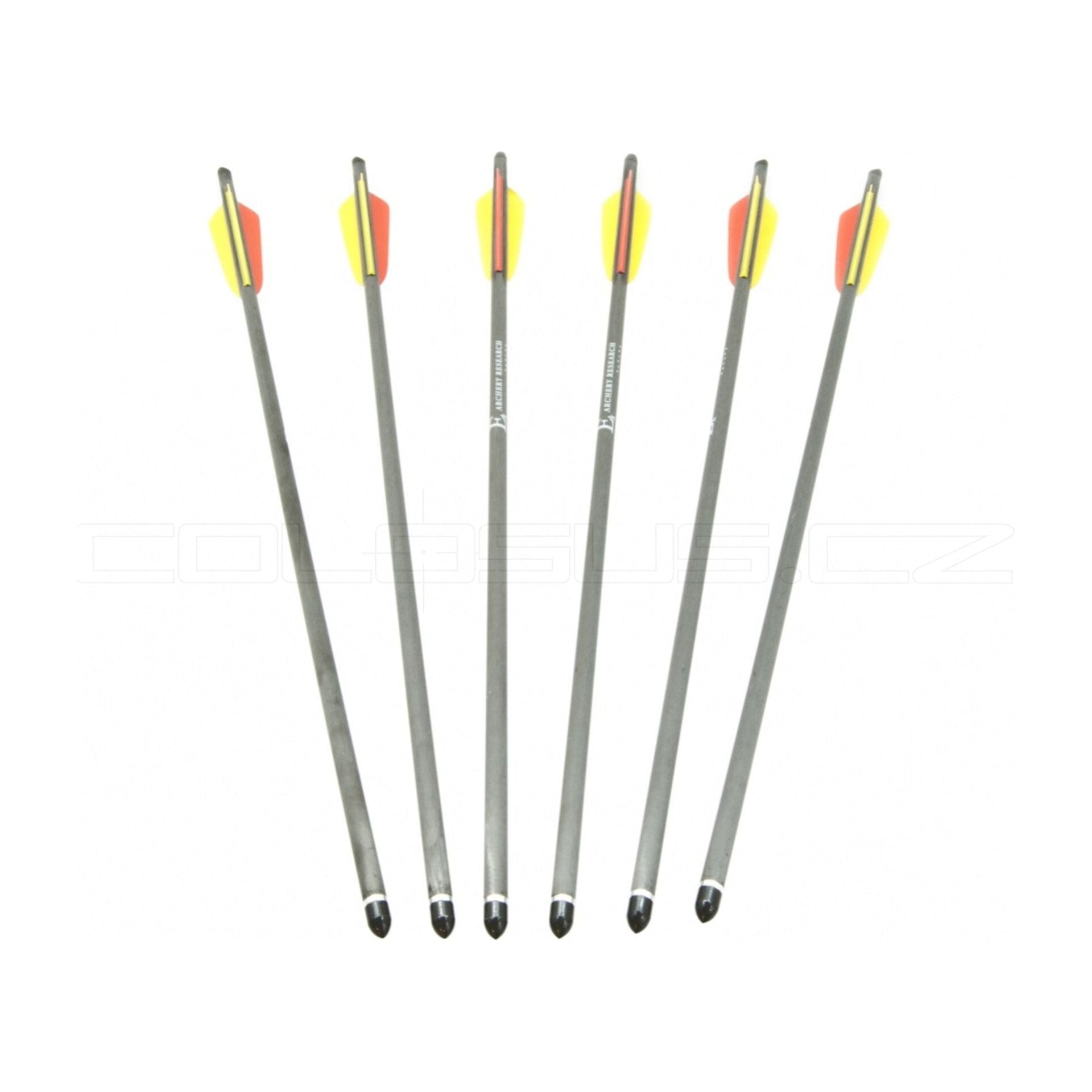 PUNTA IN CARBONIO BEAST HUNTER 22" HALF MOON 1 PEZZO COD. BHD069BC2