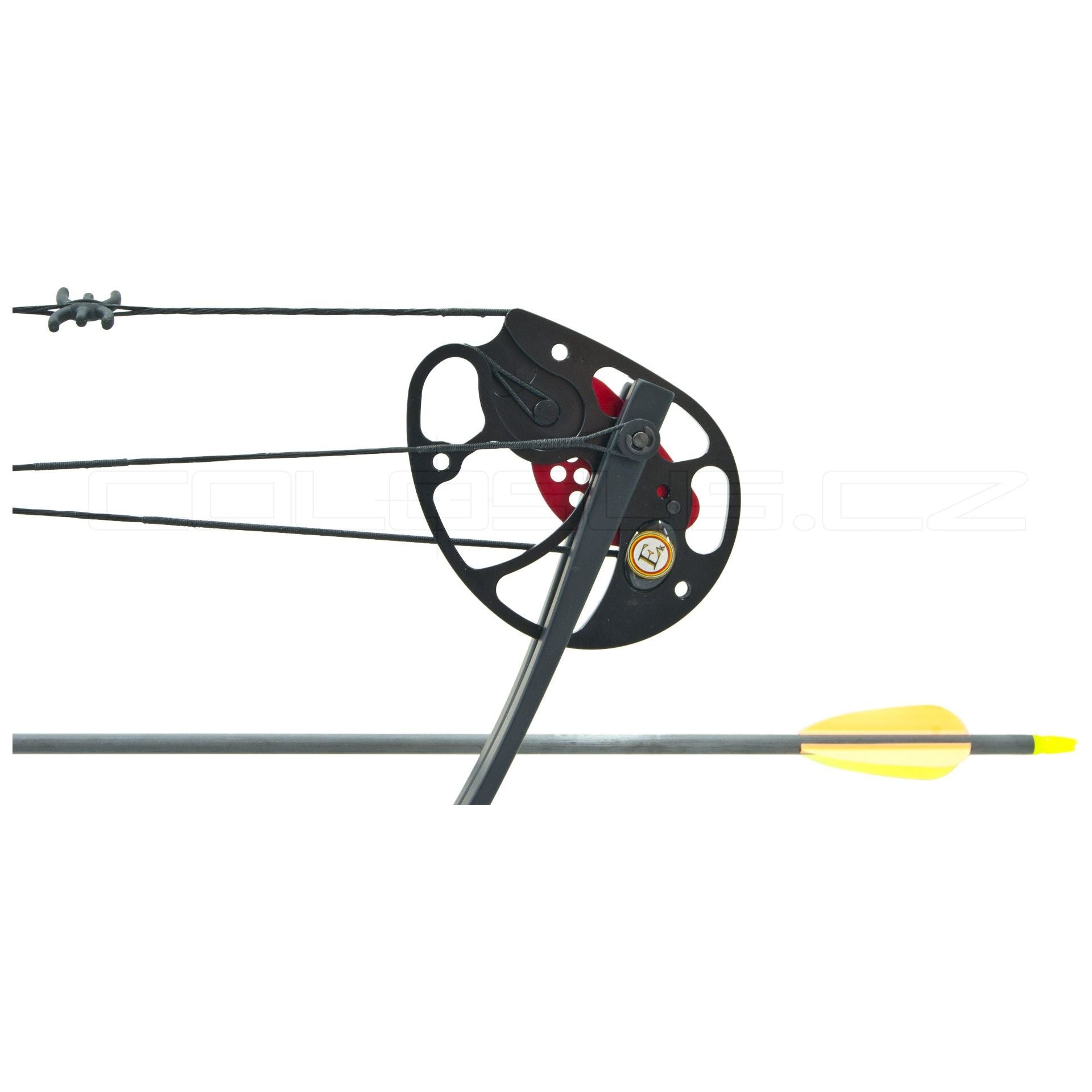 ARCO COMPOUND LUK BEAST HUNTER LUK REX 20-65 lbs MIMETICO COD. BH029F
